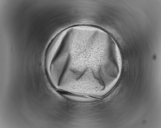 X0000097611374200803211713