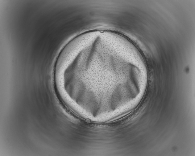 X0000097611375200803211713