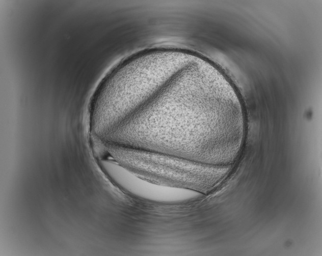 X0000097611376200803211713