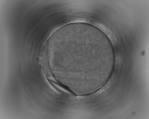 X0000097611377200803211713