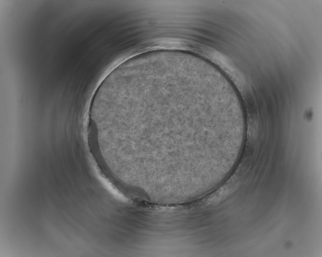 X0000097611378200803211713