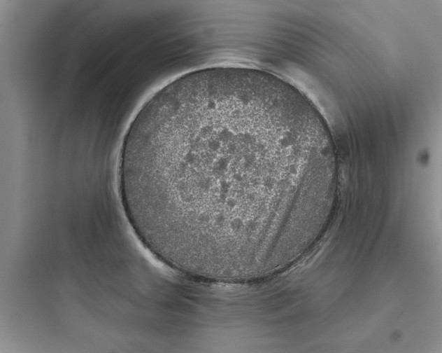 X0000097611379200803211713