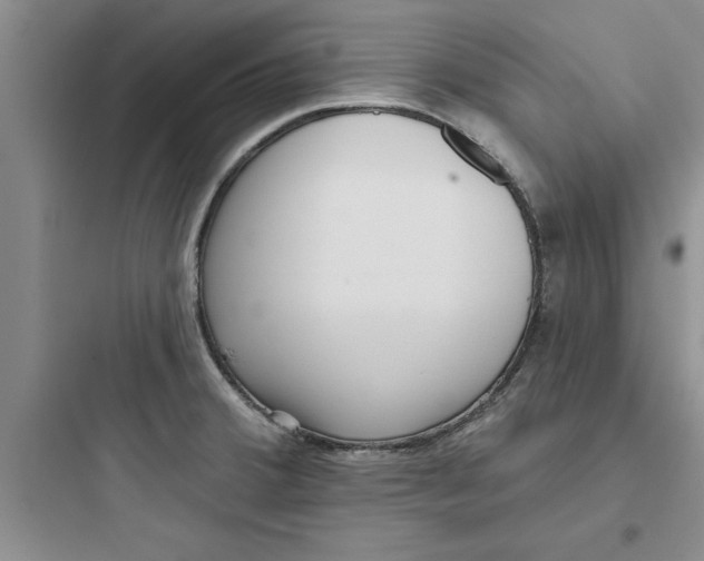 X0000097611380200803211713