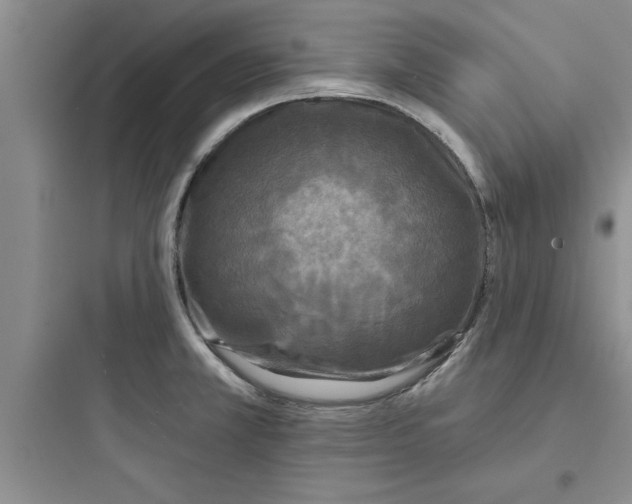 X0000097611381200803211713