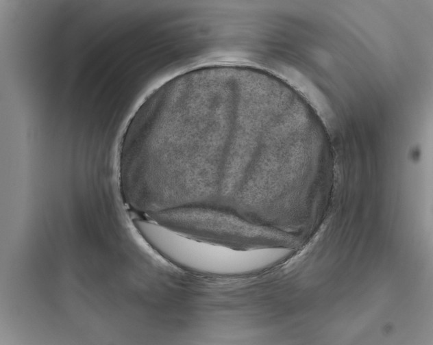 X0000097611382200803211713