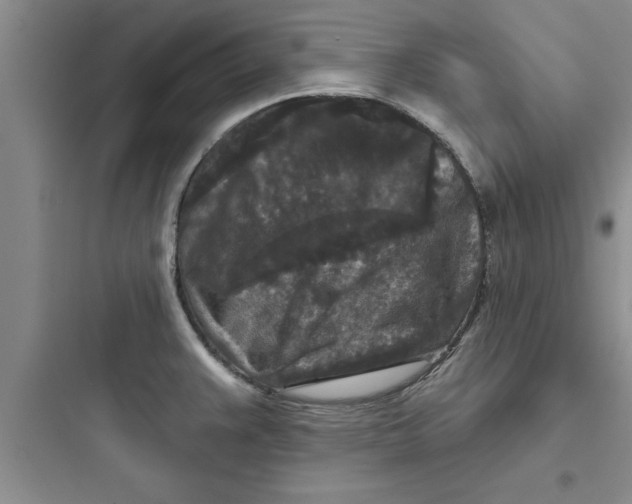 X0000097611383200803211713