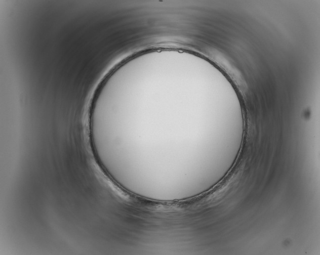 X0000097611384200803211713