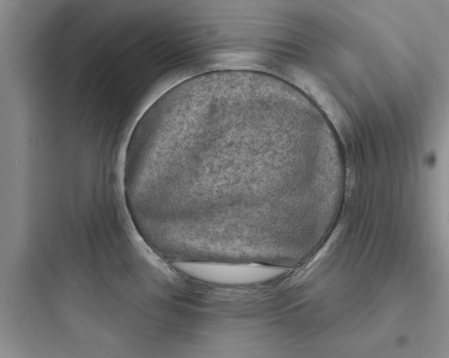 X0000097611386200803211713