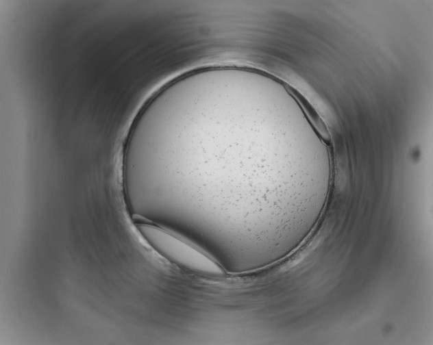 X0000097611388200803211713