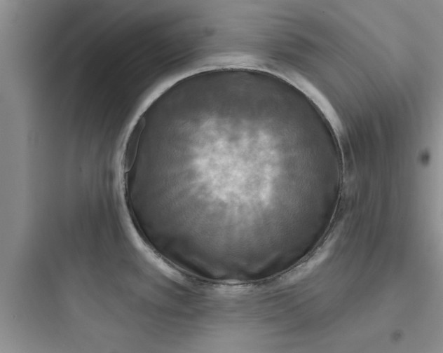 X0000097611389200803211713