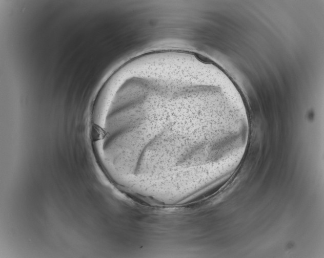 X0000097611390200803211713