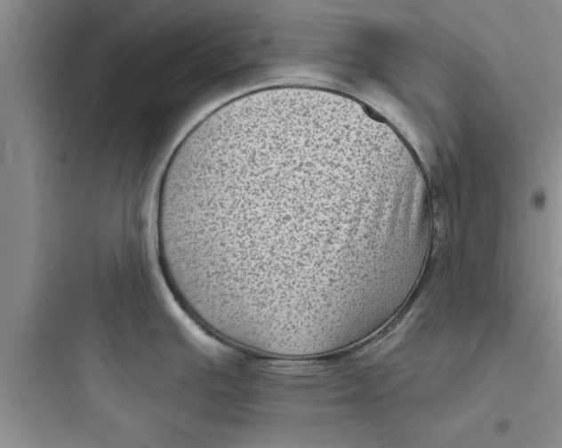 X0000097611391200803211713