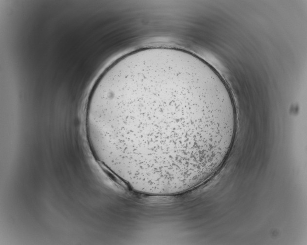 X0000097611392200803211713