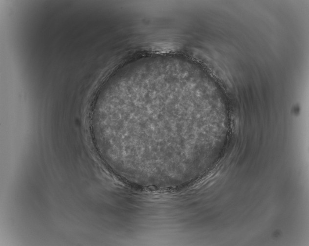 X0000097611393200803211712