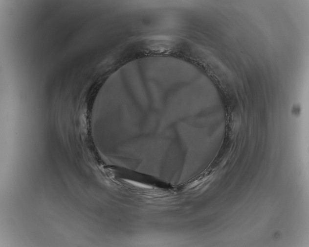 X0000097611394200803211712