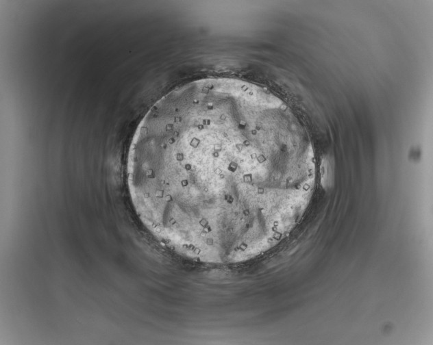 X0000097611395200803211712