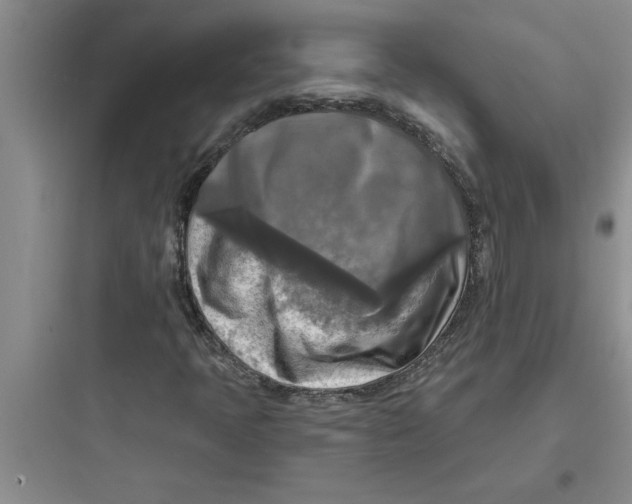 X0000097611397200803211712