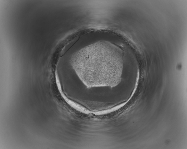 X0000097611398200803211712