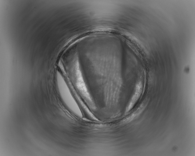 X0000097611401200803211712