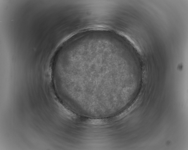 X0000097611402200803211712