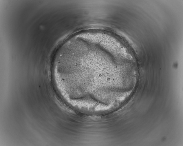 X0000097611403200803211712