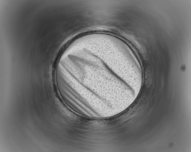 X0000097611404200803211712