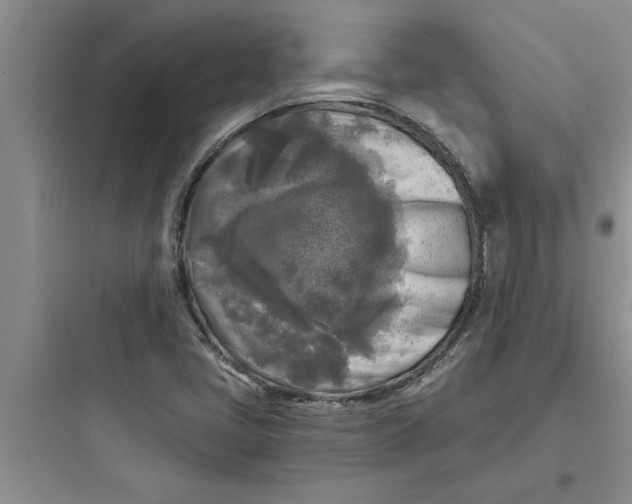 X0000097611405200803211712