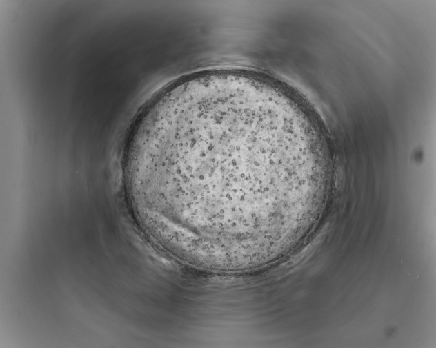 X0000097611407200803211712