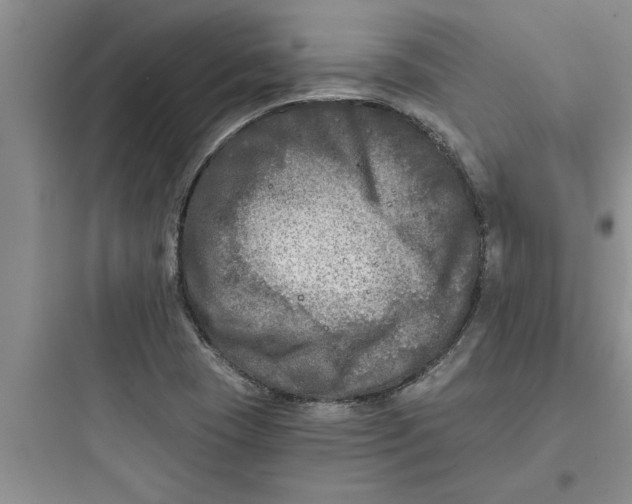 X0000097611409200803211712