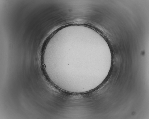 X0000097611410200803211712