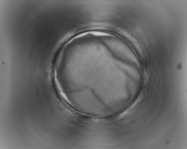 X0000097611411200803211712