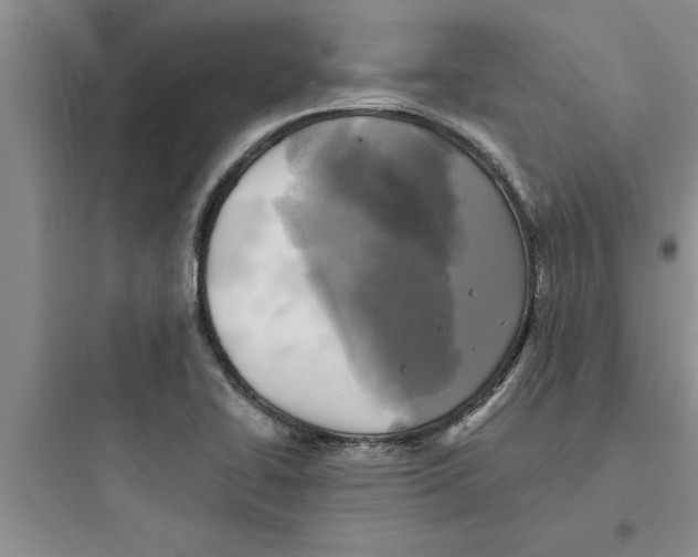 X0000097611414200803211712