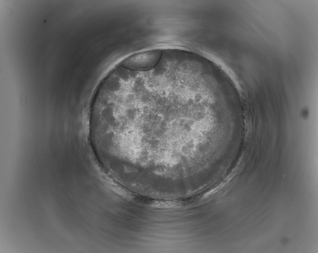 X0000097611415200803211712