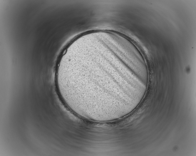 X0000097611416200803211712