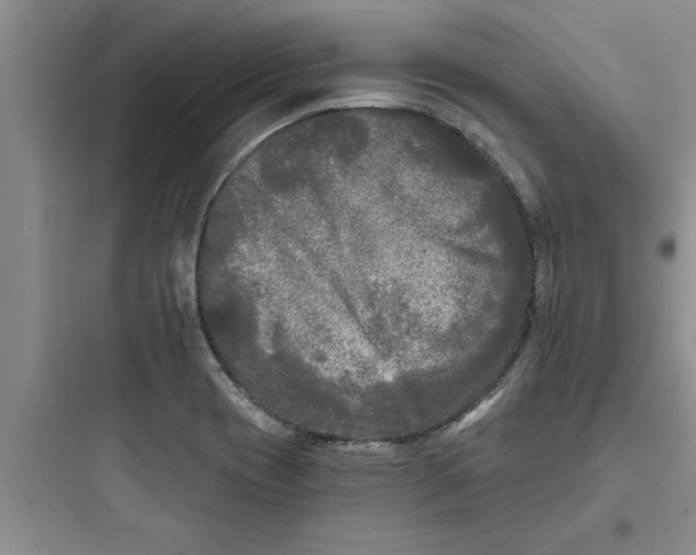 X0000097611417200803211712