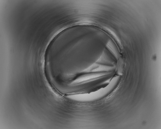 X0000097611418200803211712