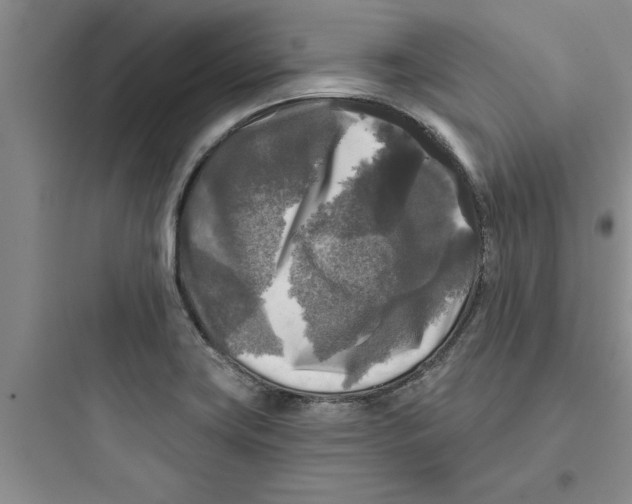 X0000097611419200803211712