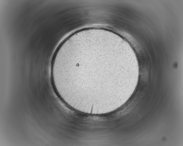 X0000097611420200803211712