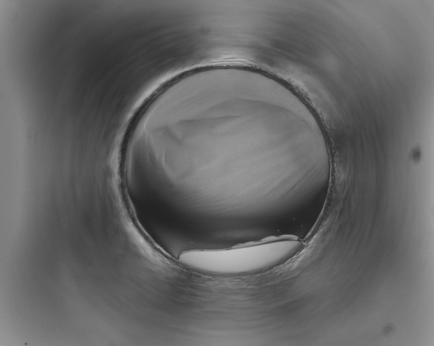 X0000097611422200803211712