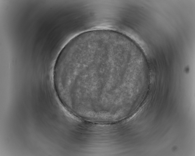 X0000097611423200803211712