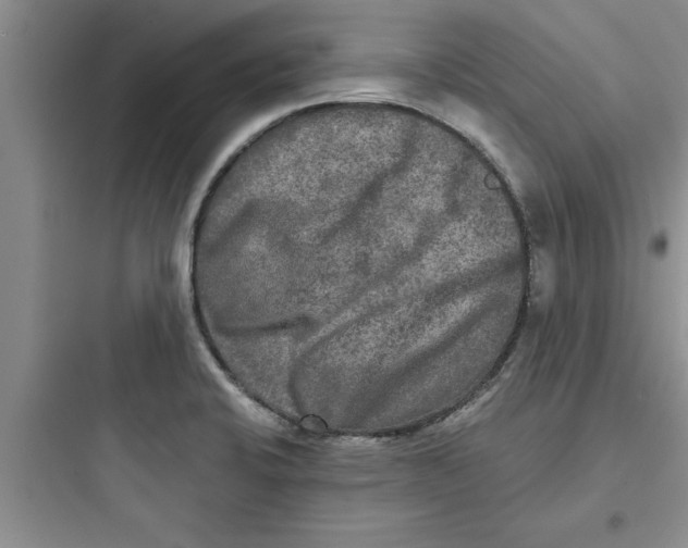 X0000097611424200803211713