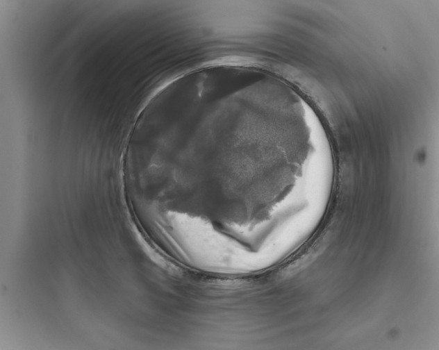 X0000097611425200803211713