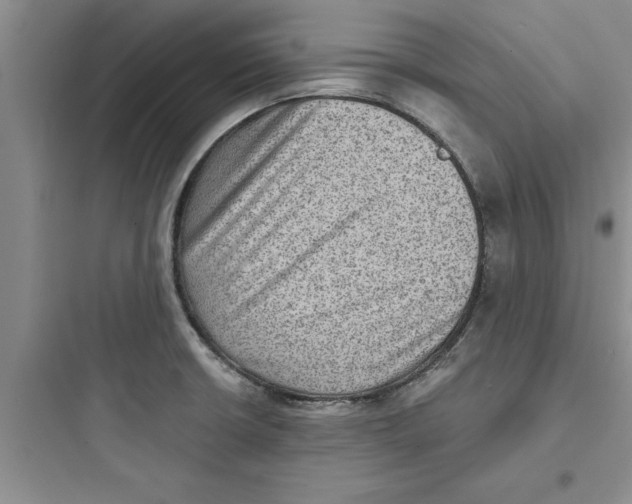 X0000097611426200803211713