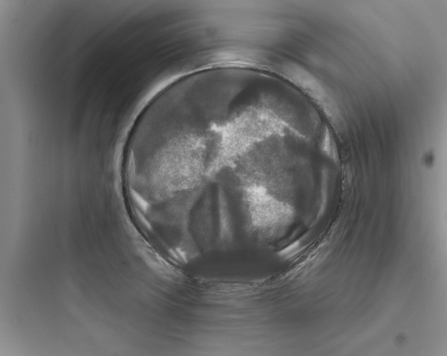 X0000097611427200803211713