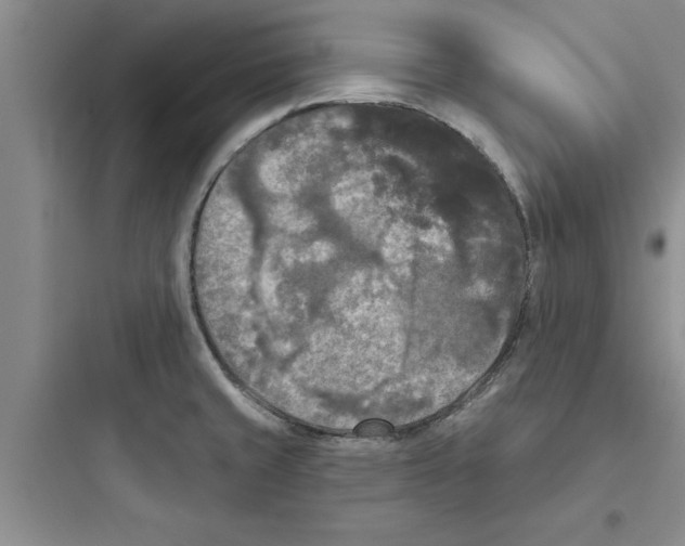 X0000097611429200803211713