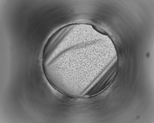 X0000097611430200803211713