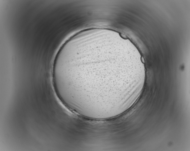 X0000097611432200803211713