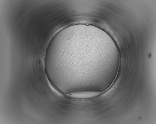 X0000097611433200803211713