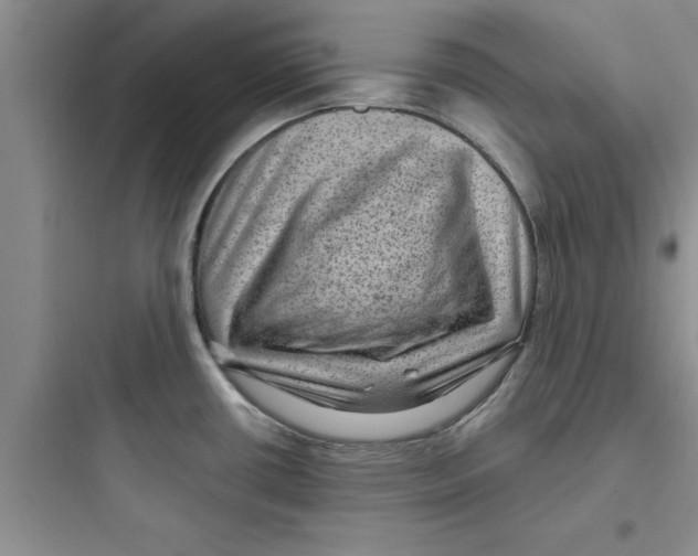 X0000097611434200803211713