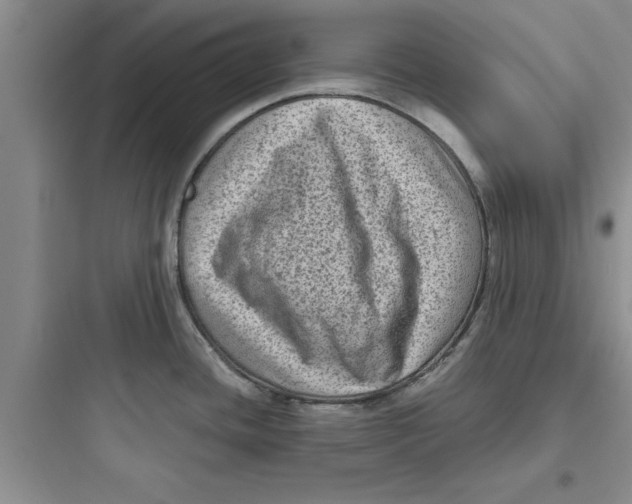 X0000097611436200803211713